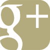 Google+